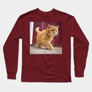 Fat Orange Cat Long Sleeve T-Shirt